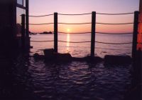 �I�V���C����̗[�i