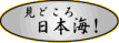 ���قŎB�e�����ʐ^�ق��A�l�G�܁X�̂��y���݂����Љ�
