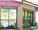 ���f�B�J�����e�@COCORO