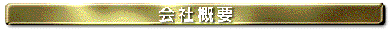 ЊTv