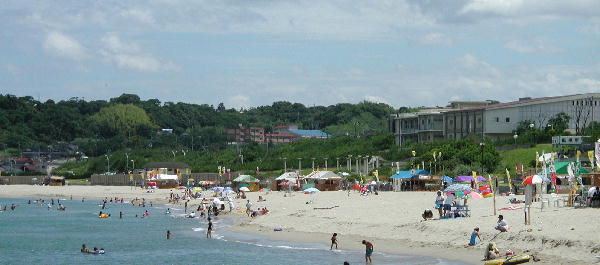 ���{�C������